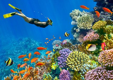 ЕКСКЛУЗИВНИ ОТСТЪПКИ - Почивка в Шарм ел Шейх, Египет със самолет от София - 7 нощувки